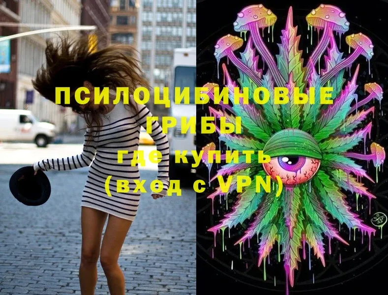 shop официальный сайт  Будённовск  Галлюциногенные грибы Psilocybe 